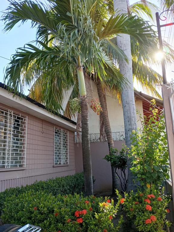 two palm trees in front of a house at VitaHostal in León