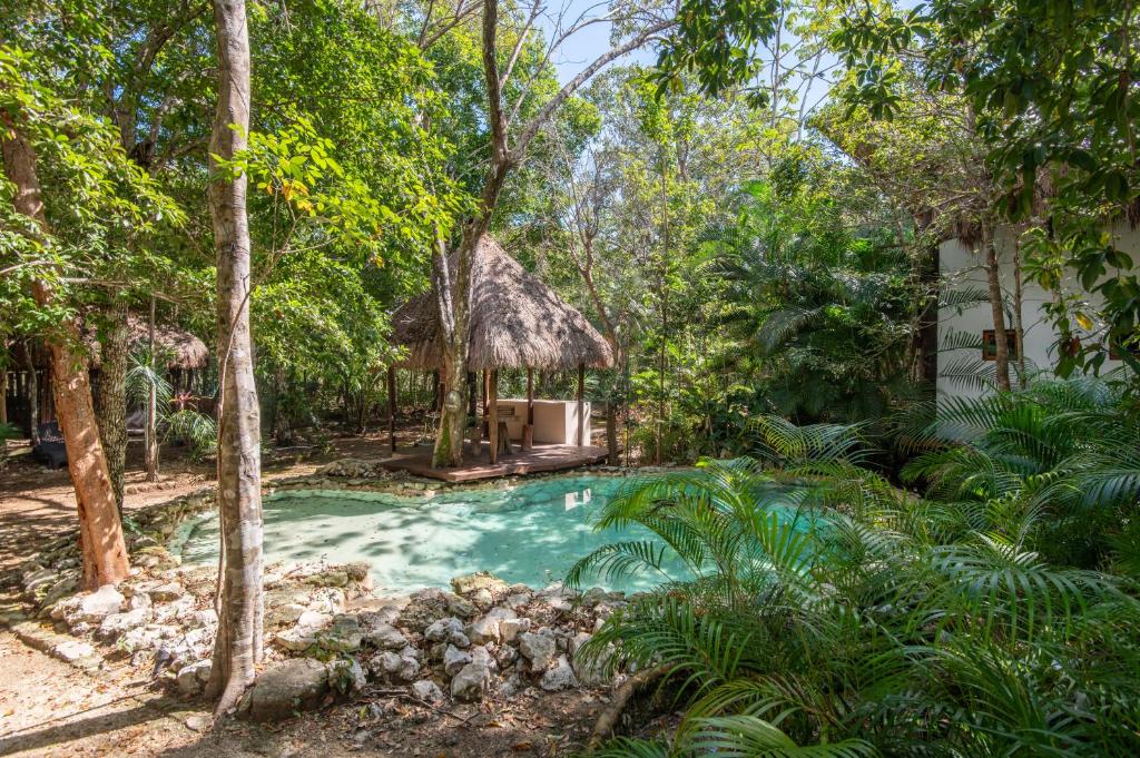 a swimming pool in the middle of a forest at Private Jungle Villa with Full Kitchen & Pool Access in Tulum