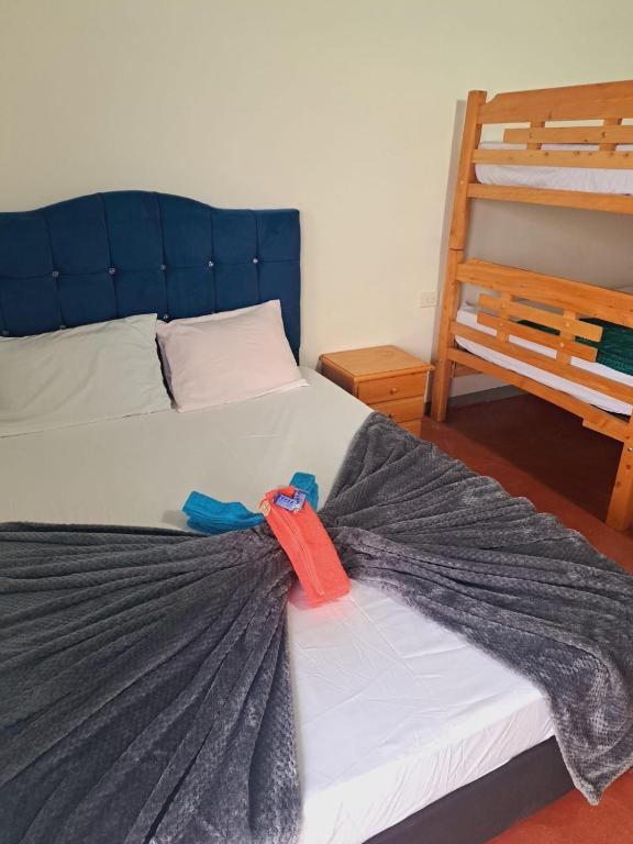 Centro turístico paraíso tortuga