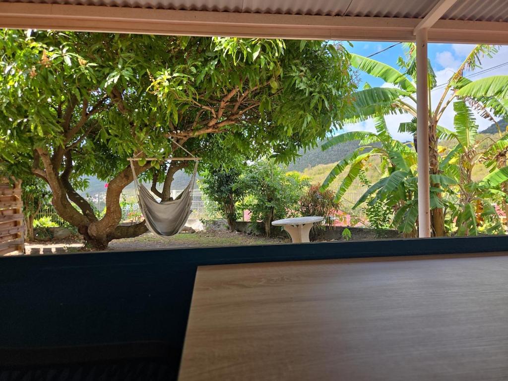 a window with a hammock in a room with a tree at Premium Villa, Maison du Manguier in Les Anses-dʼArlets