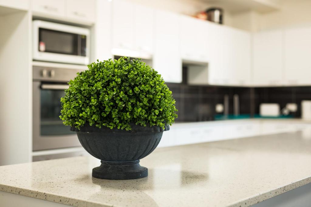 Aspire Newcastle - Resim 17