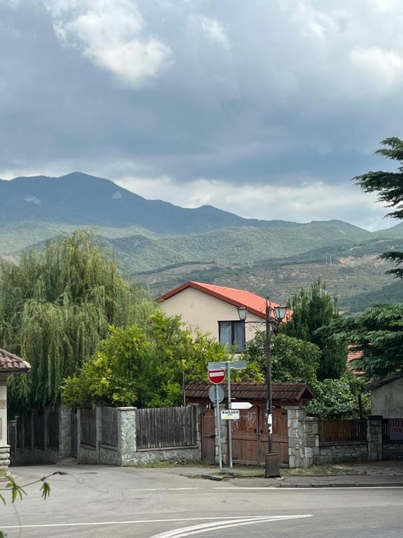 a house on the side of a street with a mountain at Mtskheta View Hotel in Mtskheta