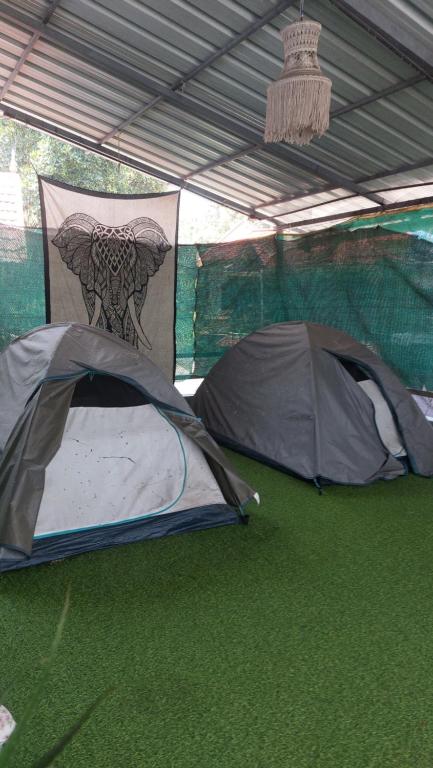 a tent with a painting on the side of it at mountainview homestay in Jāmb