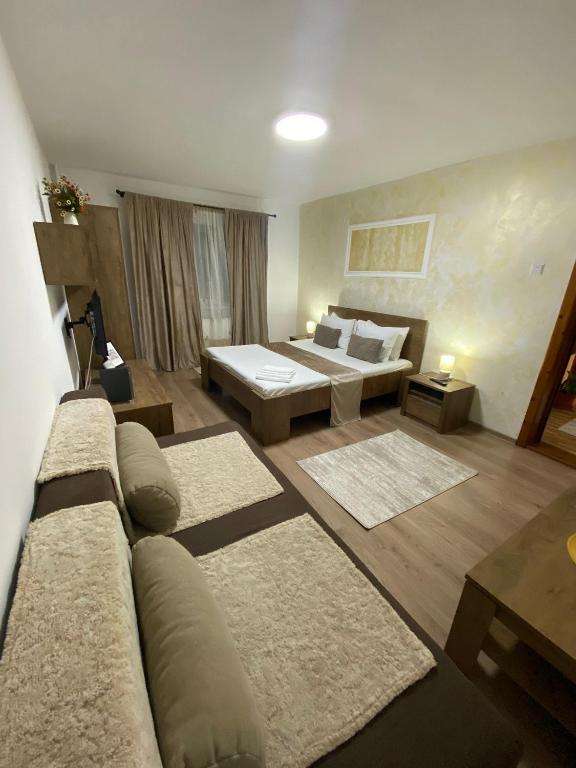 a living room with a couch and a bed at Lemora Apartments 3 in Focşani