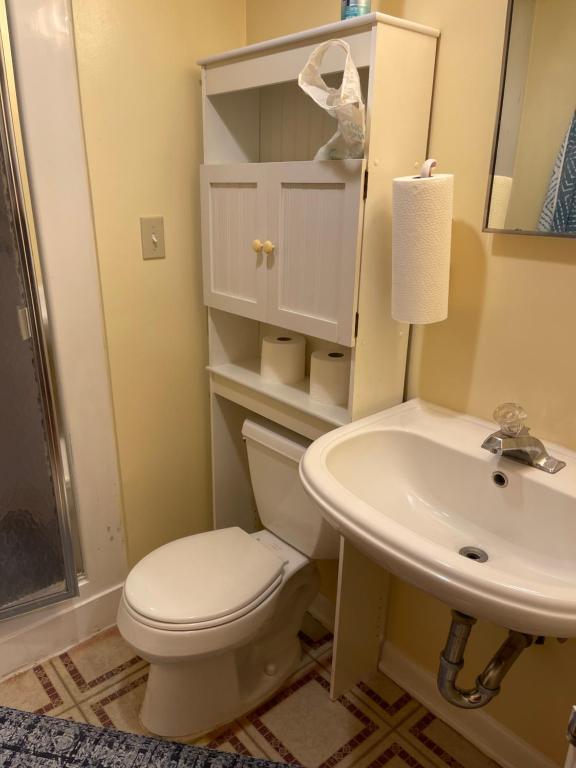 a bathroom with a toilet and a sink at Flower Avenue Hosting -Two DB Beds & Shower - Ground Floor Bedroom 1 Person 66 Night, 2 persons 122 - 3rd & 4th add 52 each in Silver Spring