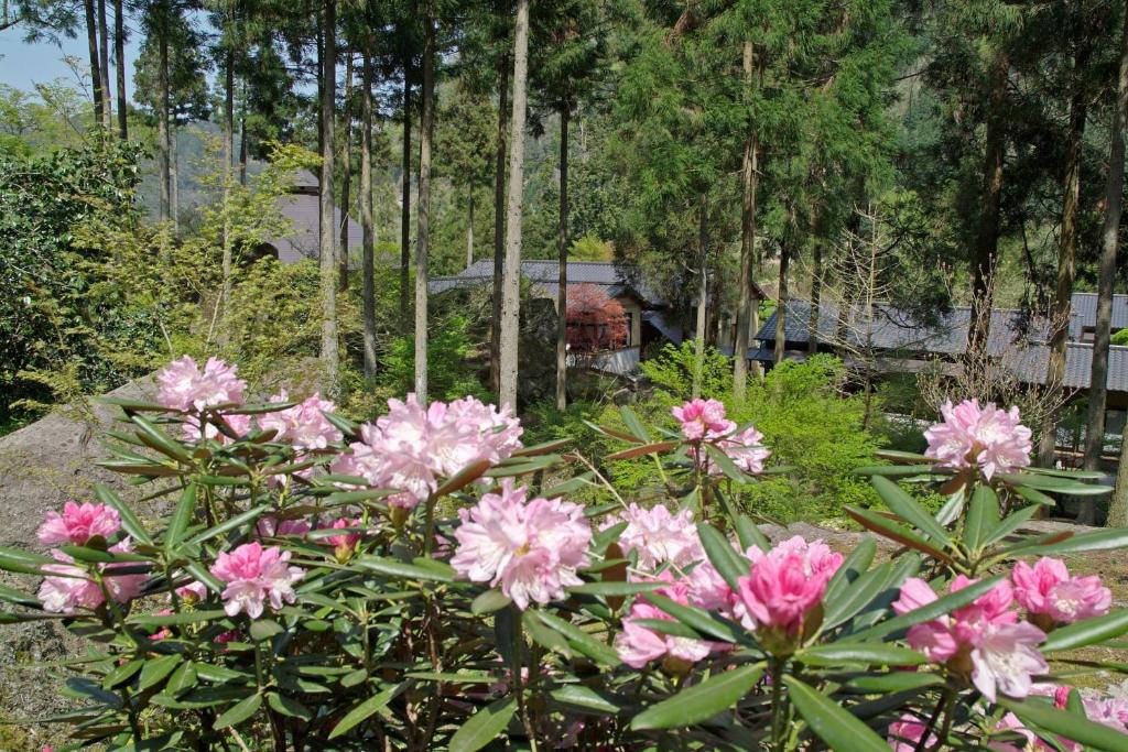 中津耶馬溪日式旅館 22 年最新房價