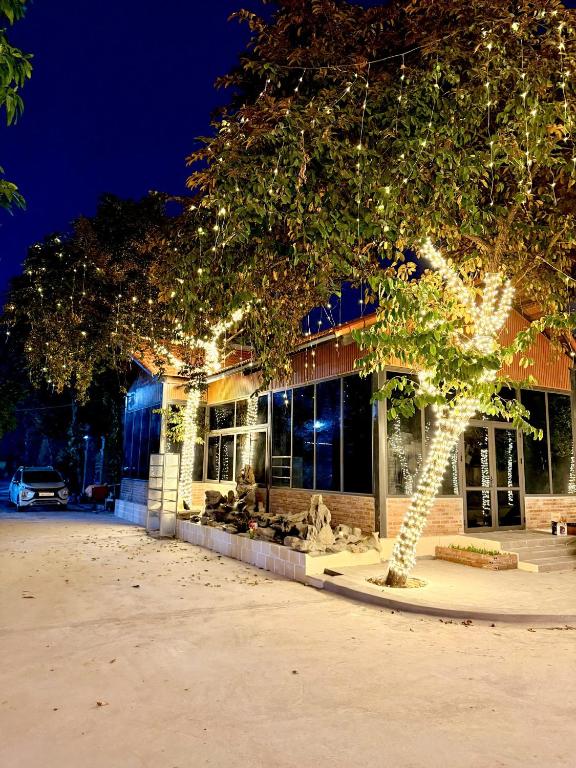 a tree in front of a building with lights at Sunset Garden in Phúc Trì