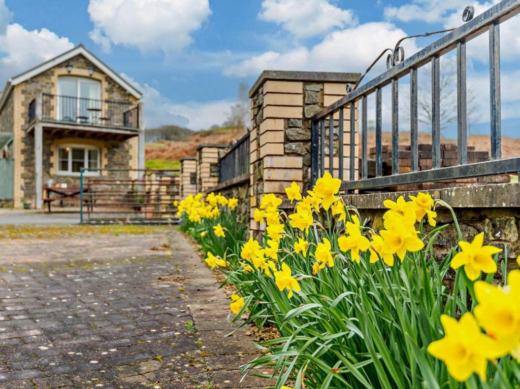 a bunch of yellow flowers in front of a house at 3 Bed in Builth Wells oc-52463 in Alltmawr