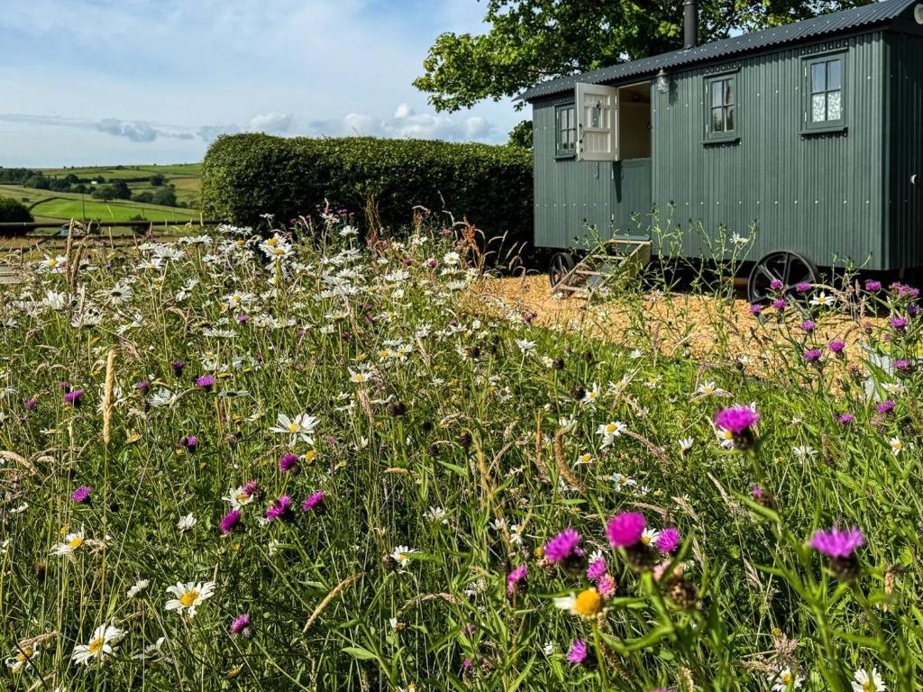 a field of flowers in front of a shed at 1 Bed in Stockport oc-87592 in Mellor
