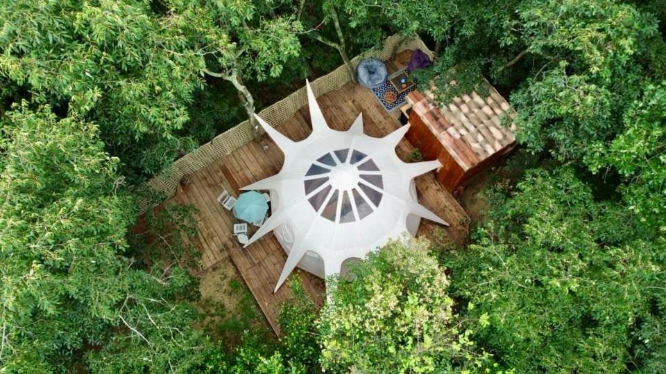 an overhead view of a house in the trees at Gite tente LOTUS in Montesquieu