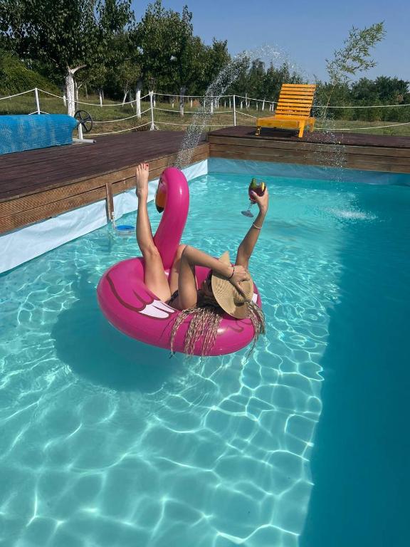 a woman floating on a pink raft in a swimming pool at Sunčana Strana Fruške Gore in Sremski Karlovci