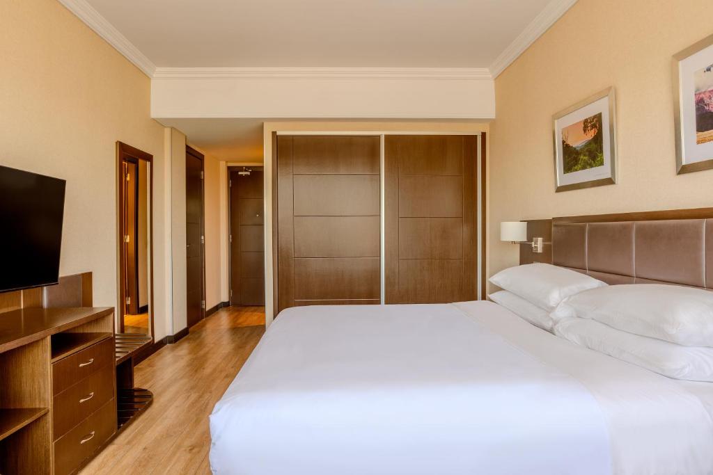 Marriott Hotel Buenos Aires Ezeiza Airport