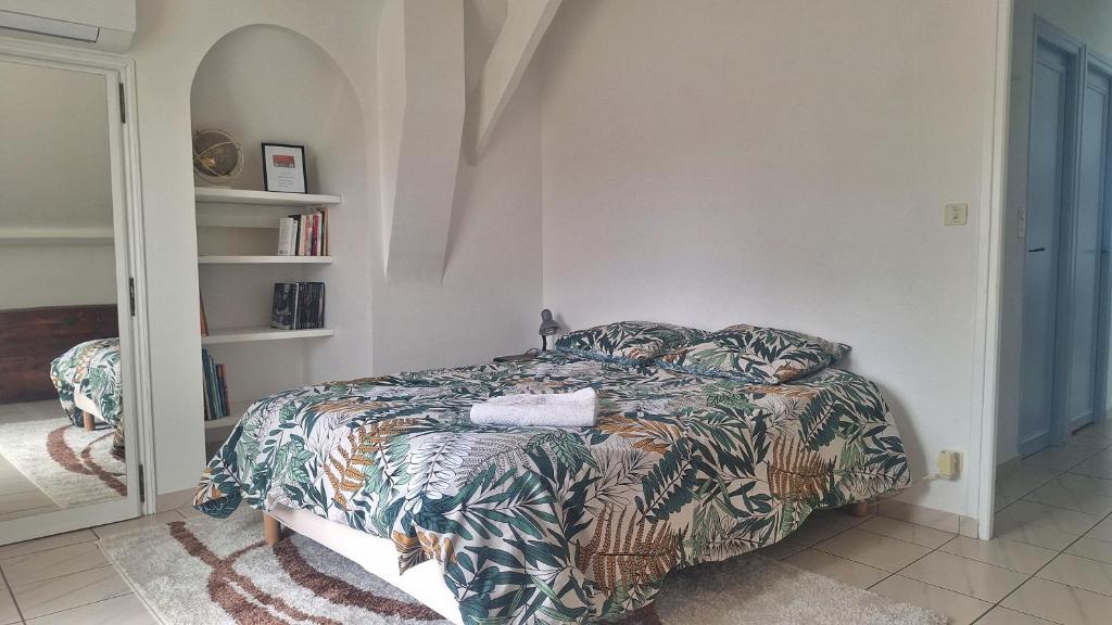 a bedroom with a bed and a book shelf at Sur le Chemin d'Arles in Lescar