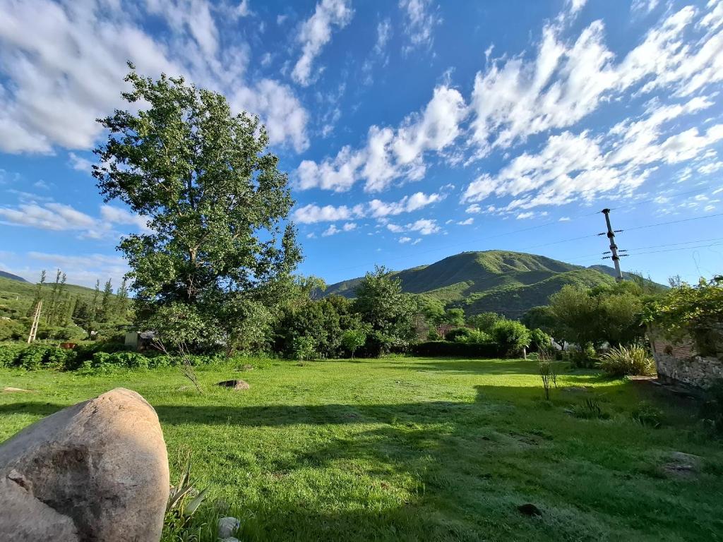 a field of grass with a tree and a mountain at Casa en El Rodeo in El Rodeo