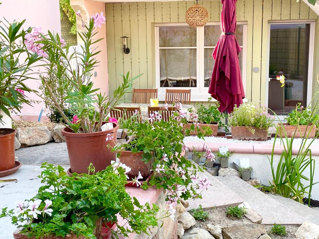 Côté Jardin – photo 1