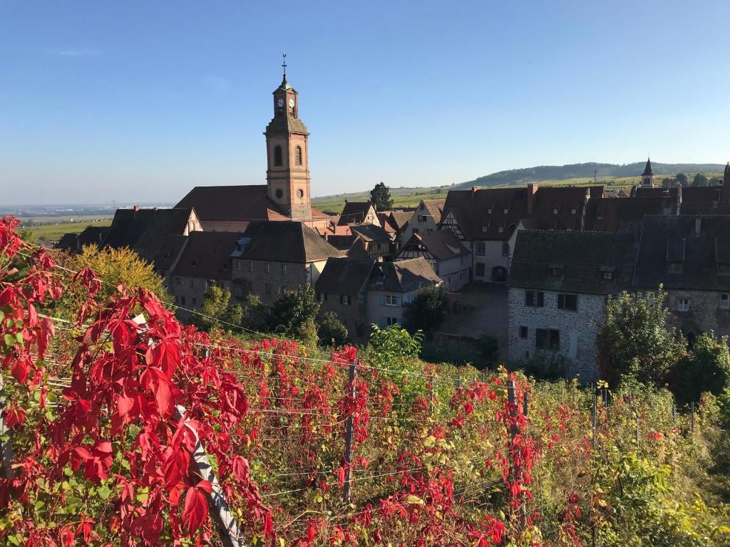 Côté Jardin – photo 30