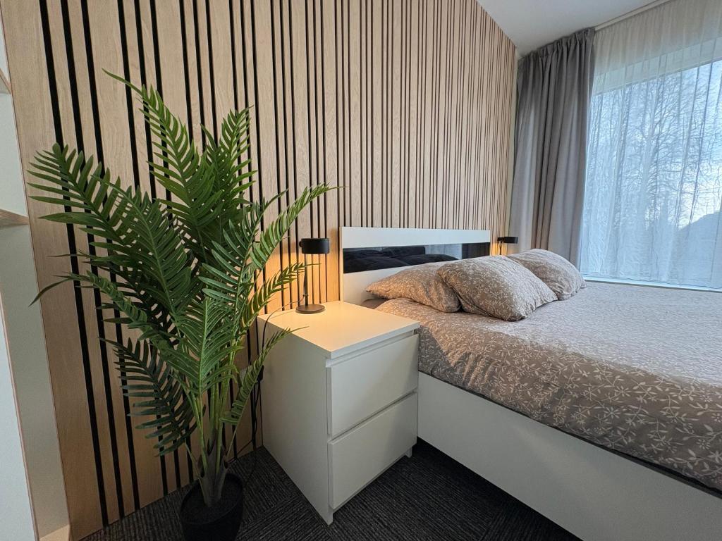 a bedroom with a bed and a plant next to a window at Weekend apartment 3 in Sigulda
