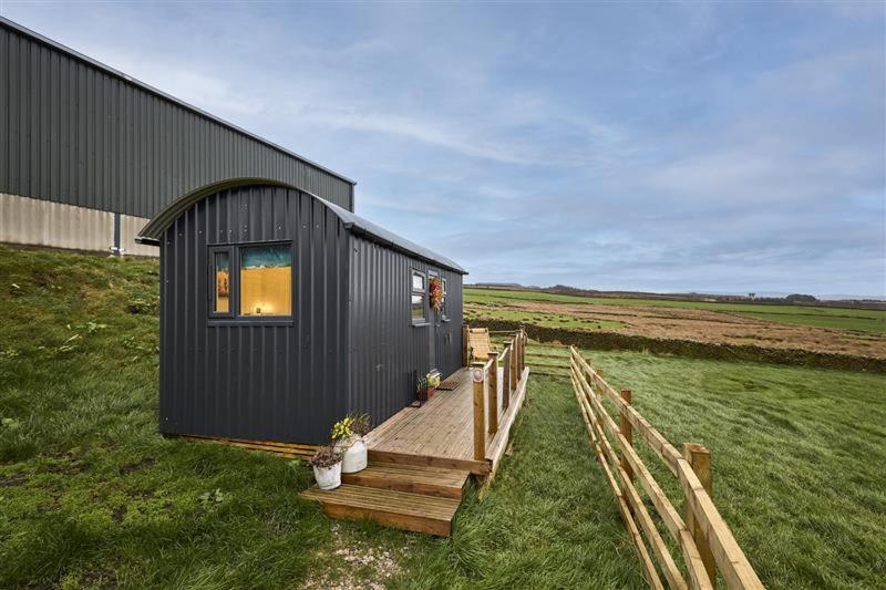 a black tiny house on a grass field at Host & Stay - Swallows Nest in Longridge