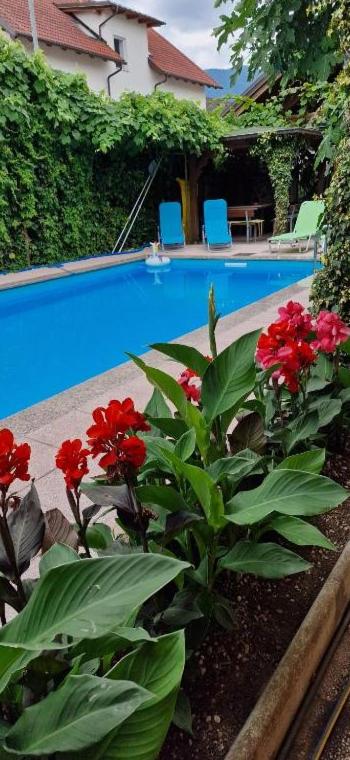 a swimming pool with red flowers in a garden at Apartman MURKO S-3 in Ig