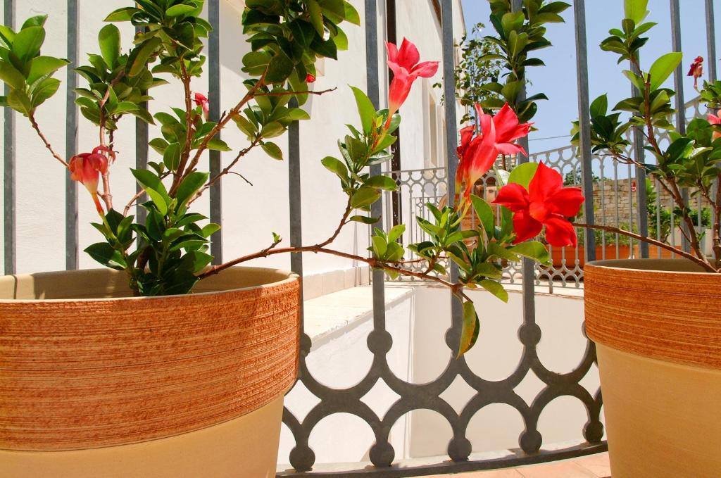 Ogród w obiekcie Relais Sant'Eligio