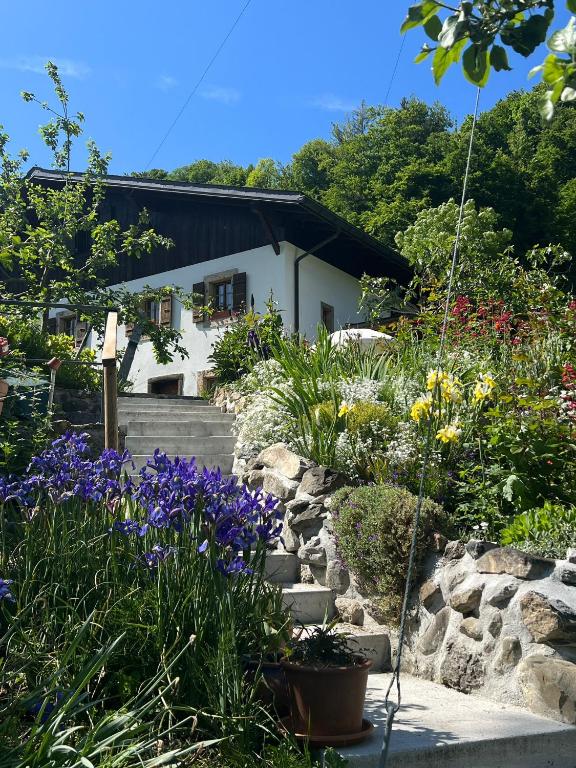 a garden with flowers in front of a house at Le Petit Ruisseau in Ollon