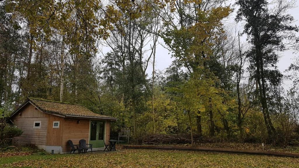 a small cabin in the middle of a forest at The Hyacint House in Den Andel