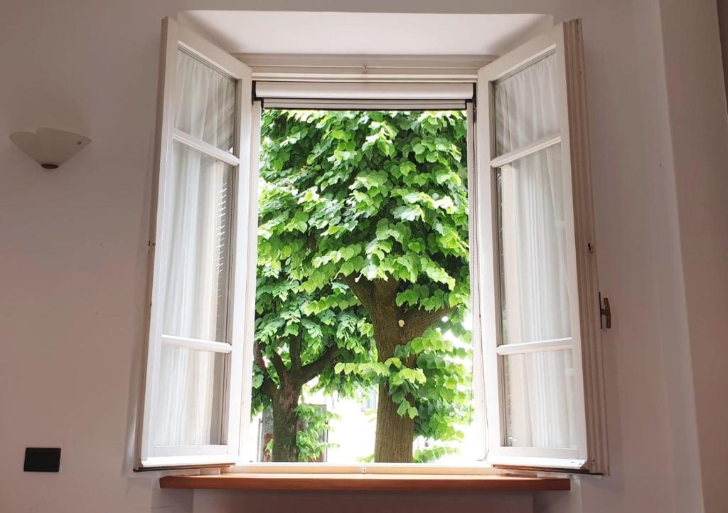 an open window with a tree in the background at La Finestra sui Tigli in Mandello del Lario
