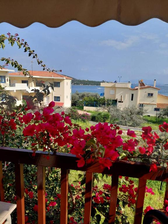 a balcony with red flowers on a fence at Theano apartment in Argos