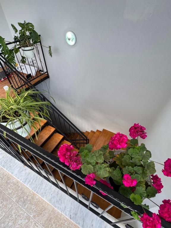 فضای داخلی Eda Sultan Guesthouse - 5 Min Walk to Göynük Beach در آنتالیا - تصویر ۳