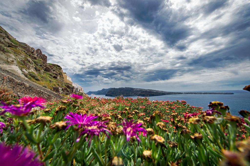 Theodora Suites - 10