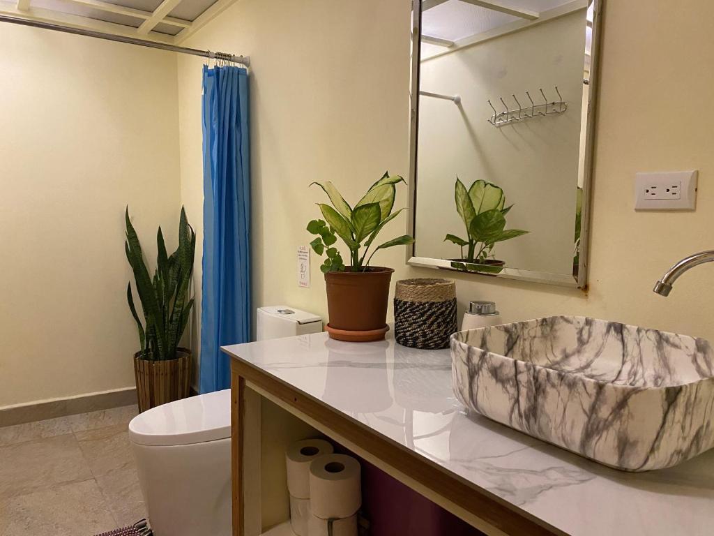 Pura Vida Boutique Apartments - Deluxe Tweepersoonskamer