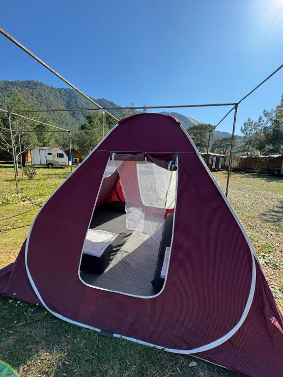 Adrasan Camping - Tenda