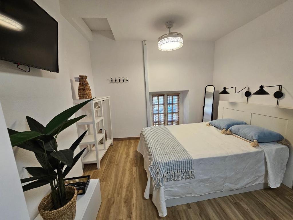 a bedroom with a bed and a potted plant at Casa Gelín Azul in Santillana del Mar