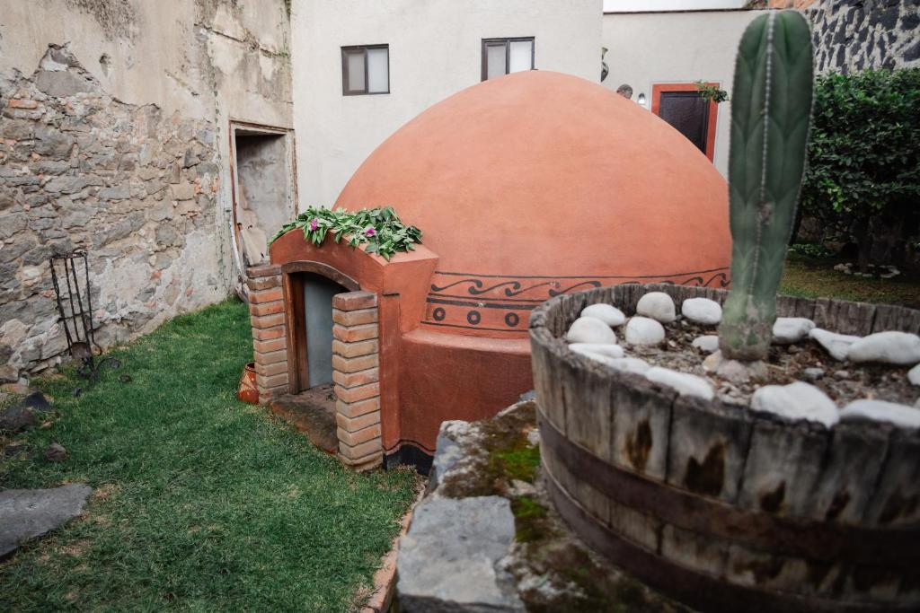 a garden with a cactus and a planter at Cachito Mio hotel y temazcal in Cholula