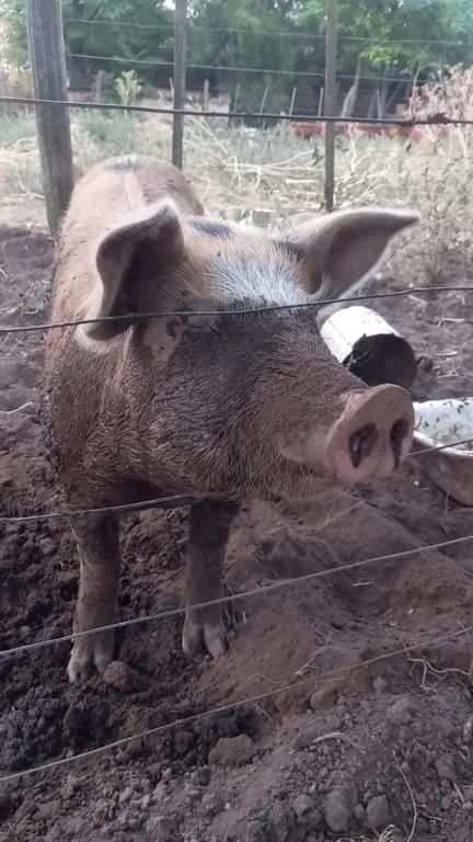Establecimiento La Chiquita