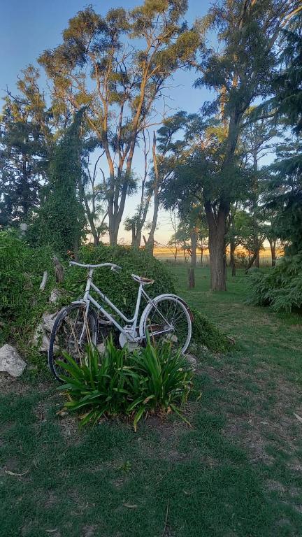 Establecimiento La Chiquita