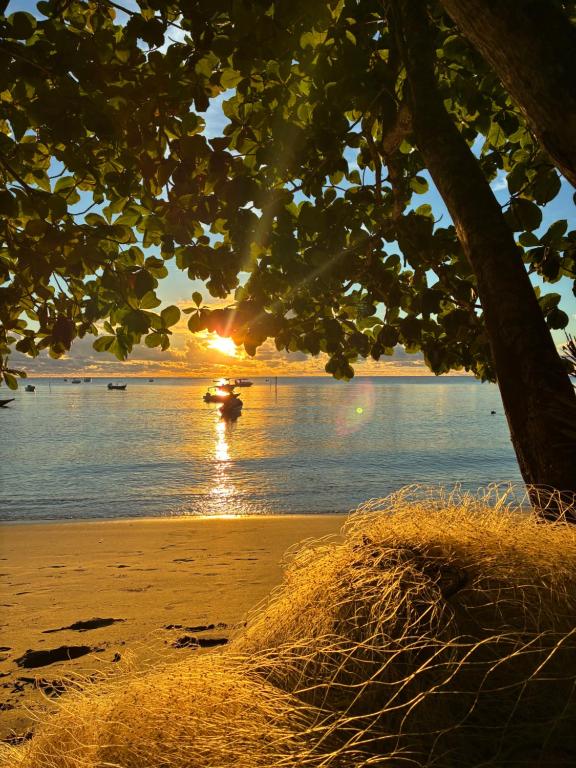 a sunset over a beach with a tree and the ocean at Mar de Moreré in Cairu