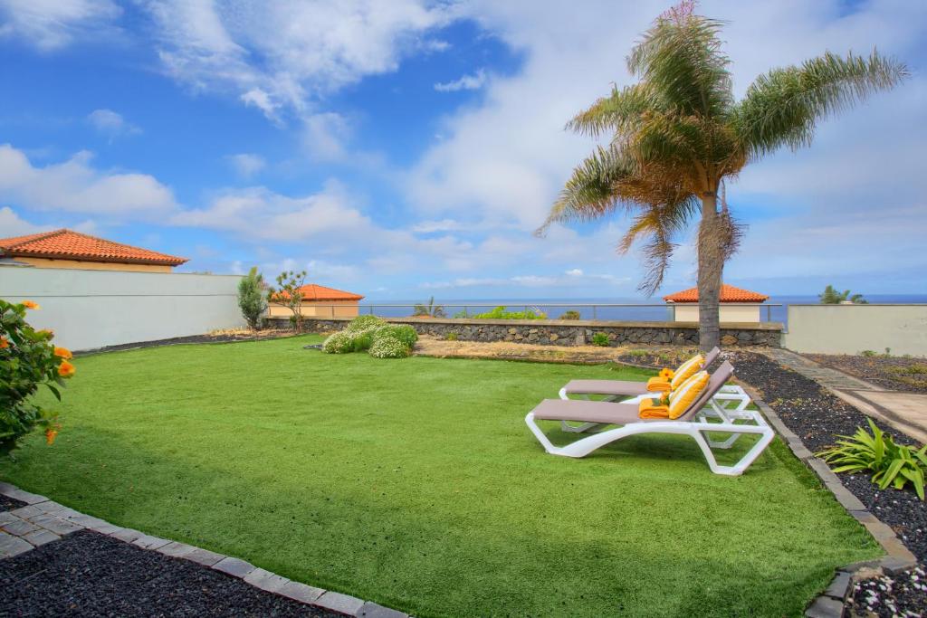 a lawn with a chair and a palm tree at Casa Punta del Viento Tenerife in El Pris