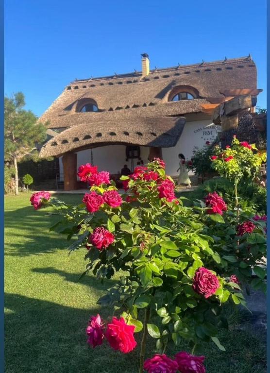 a house with a bunch of flowers in front of it at Pensiunea Casa Sobarului in Molovata