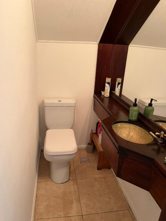 a bathroom with a toilet and a sink at Casa en Pocitos in Montevideo