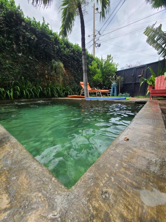 Hồ bơi trong/gần Casa San Sebastian