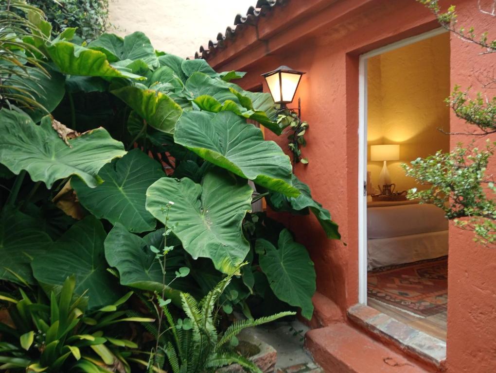 Candelaria House Boutique - 