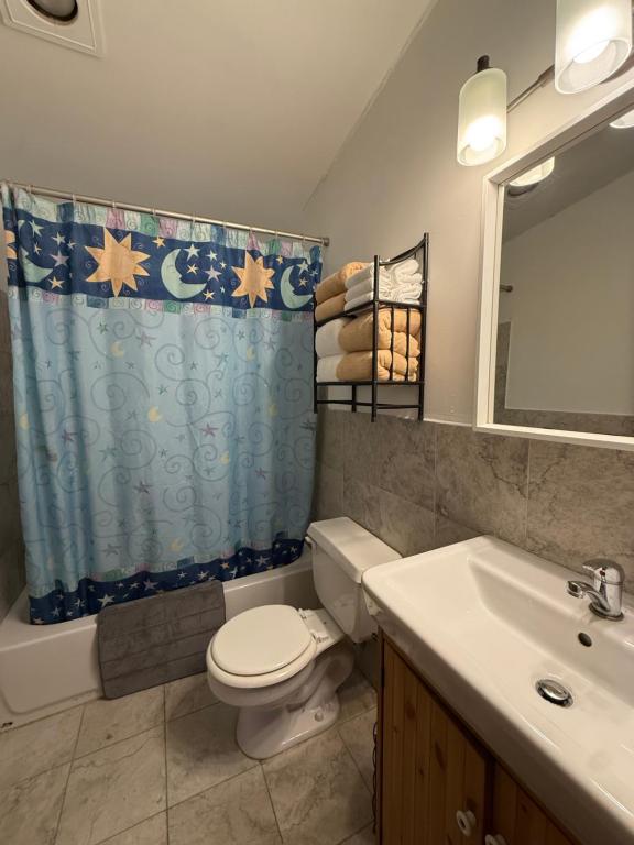 a bathroom with a toilet and a sink and a shower curtain at Safehaven in Avon Park