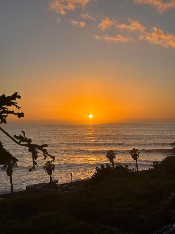 a sunset over the ocean with palm trees at Lucky Jack in Jardim do Mar