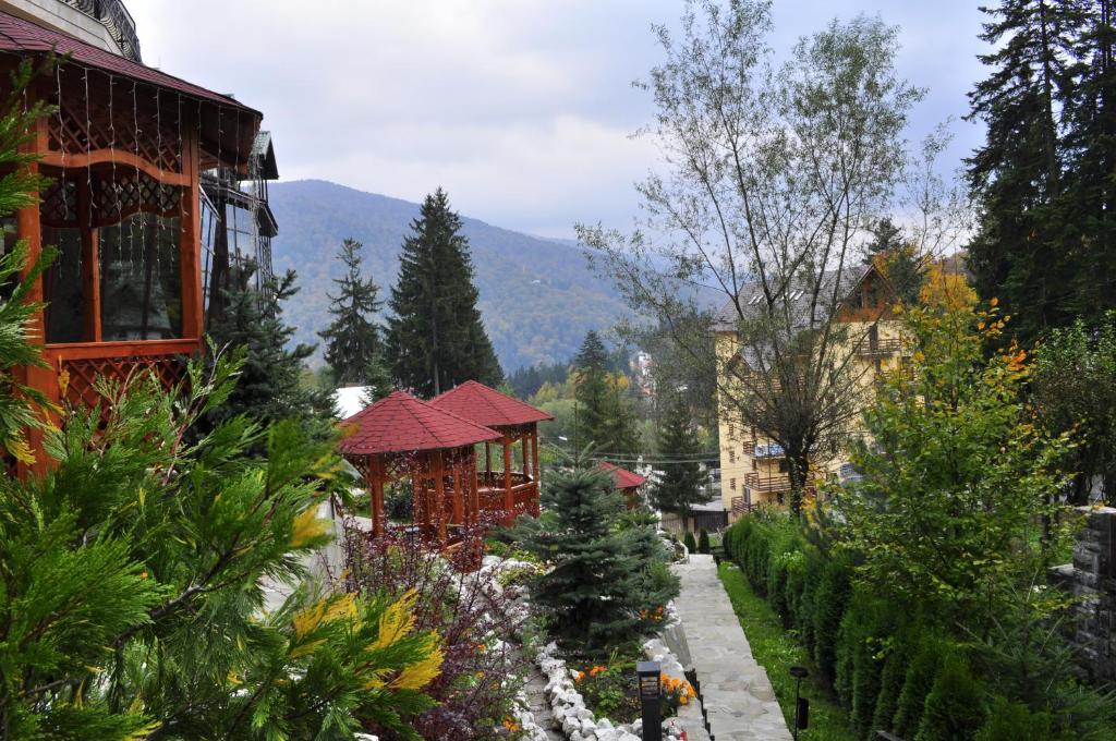 Hotel Arca lui Noe - Resim 39