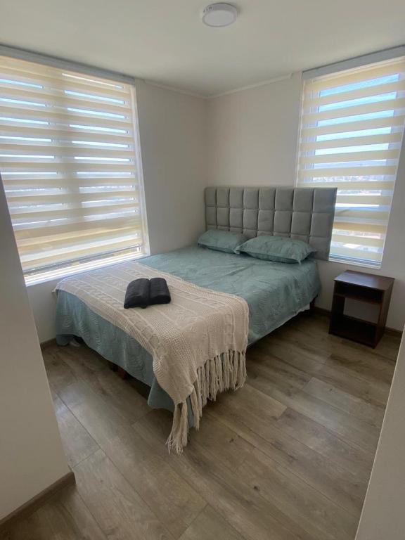 a bedroom with a bed and two windows at Acogedor departamento in Concepción
