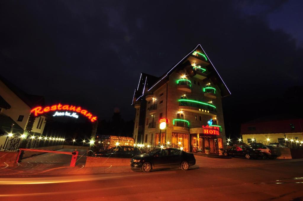 Hotel Arca lui Noe - Resim 34