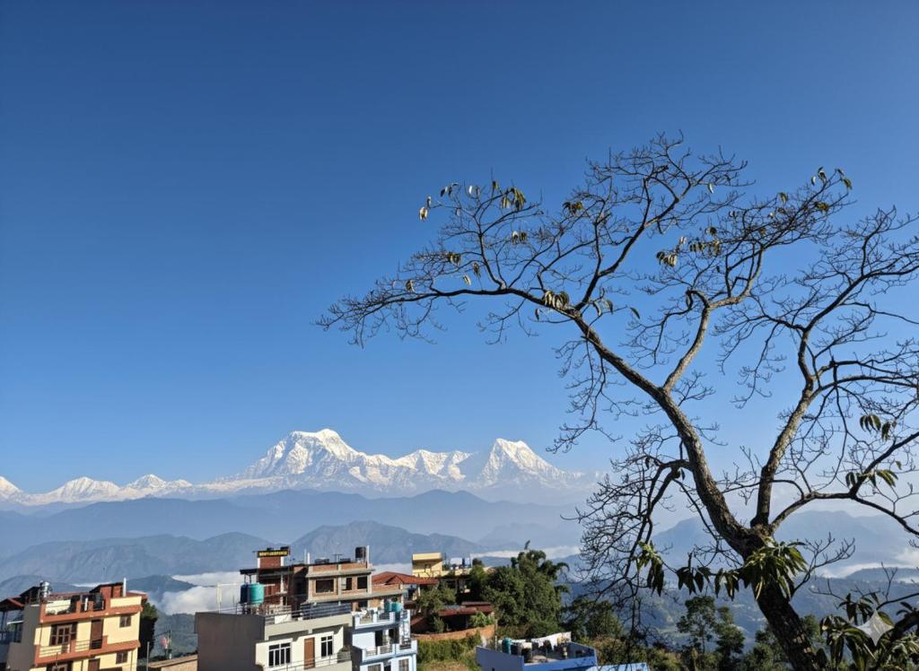 a tree with mountains in the background with buildings at Mountain View Homestay in Tānsen