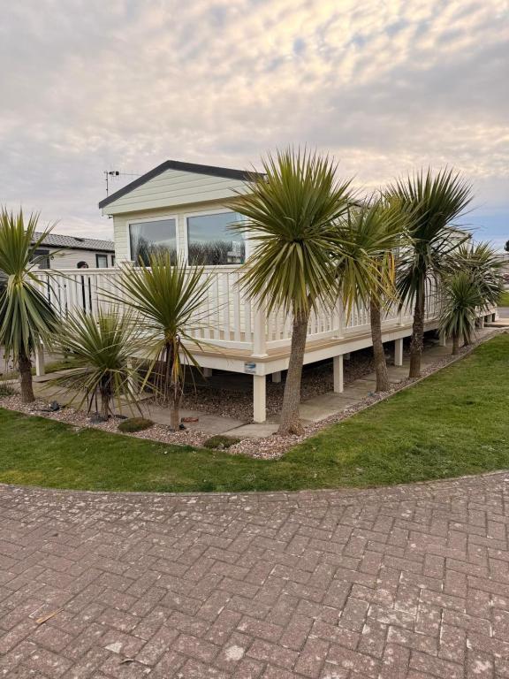 a white house with palm trees in front of it at Palm trees and the sea in Reighton