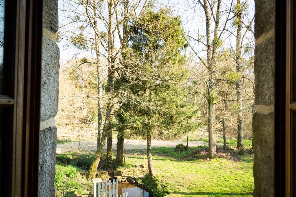 a window with a view of a park with trees at Le petit ordinaire in Le Cours